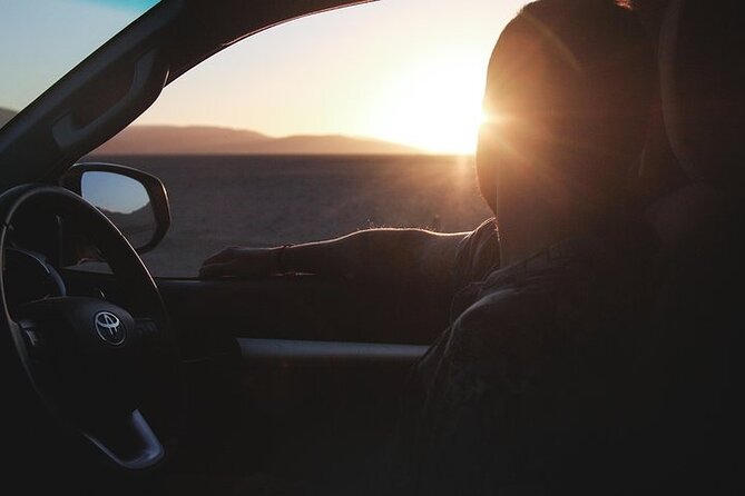 Qatar Sunset Desert Safari: Dune Bashing & Golden Sands Adventure - Who Should Book This (and Who Might Want Another Option)