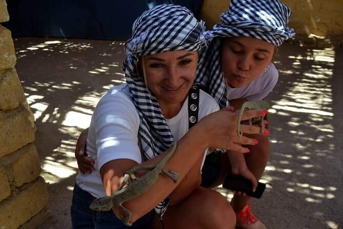 Quad 3 hours VIP safari adventure Hurghada - Guide Communication and Photo Pressure: Where Reviews Agree (and Where They Don’t)