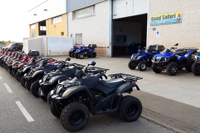 Quad Bike Safari - Off-Road Time Near Escalona: Dust, Heat, and the “Forest Explorer” Option