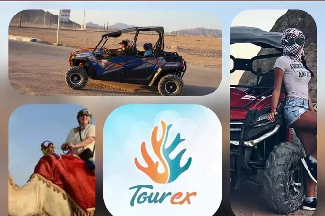 Quad bike Safari In Sharm El Sheikh - Bedouin village stop: tea, the camel option, and how long you’ll feel it