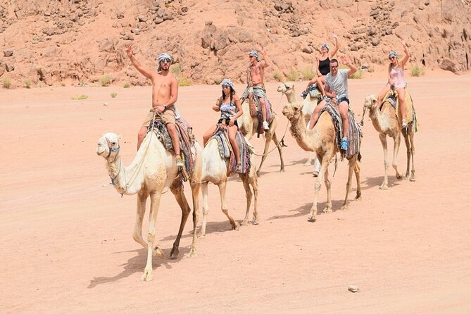 Quad Biking Safari-Camel Ride-Bedouin Dinner and Shows From Sharm - Quad Biking Safari: Beginner-Friendly Fun With Clear Boundaries
