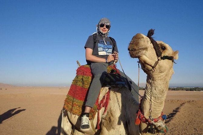 Quad Biking Safari-Camel Ride-Bedouin Dinner and Shows From Sharm - Bedouin Dinner and Shows: Food, Entertainment, and Campfire Energy