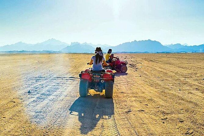Quad Biking Safari-Camel Ride-Bedouin Dinner and Shows From Sharm - Small Logistics That Affect Your Evening
