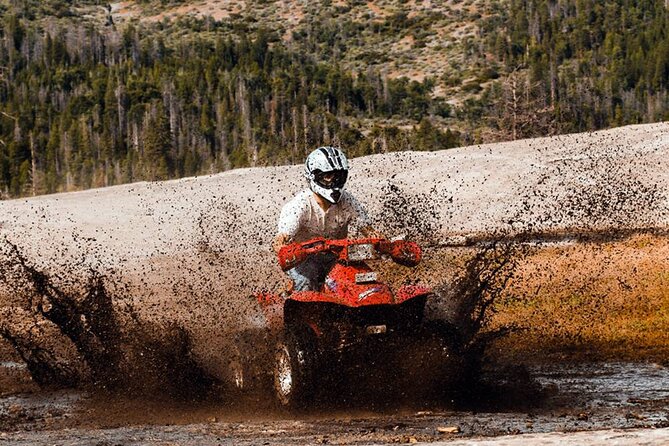 Quad Safari Experience in Alanya (Adventure Tour) w/ Free Hotel Transfer - Automatic Quads Feel Easier, But Ride Smart