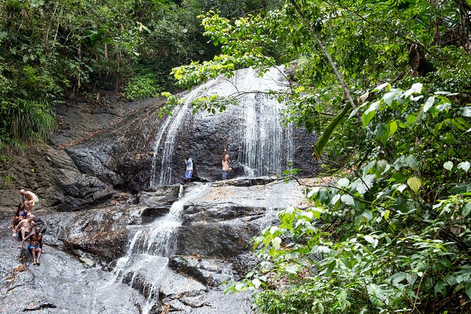 Rainforest Hike and Waterfall Safari - Key Highlights You’ll Actually Feel