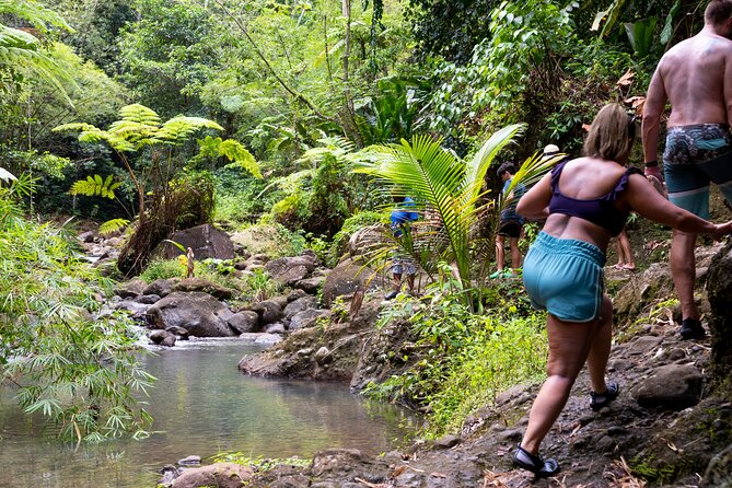 Rainforest Hike and Waterfall Safari - A 7:20am Gros Islet Departure and the West Coast 4x4 Ride