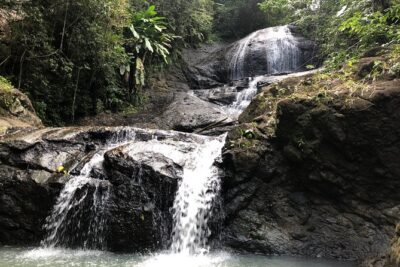 Rainforest Hike and Waterfall Safari - Fruit Plantations, Wildlife Spotting, and Anse La Raye’s Local Rhythm