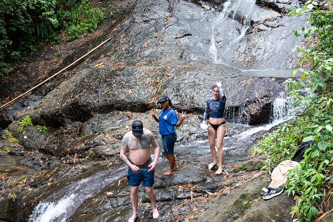 Rainforest Hike and Waterfall Safari - Price and Value: What $66.67 Buys You in Real Life