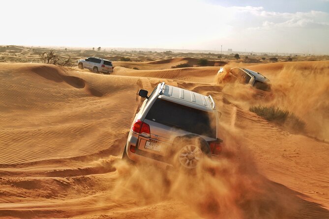 RAK Desert Safari and BBQ Dinner with RAK pick up - Key Highlights Worth Planning For