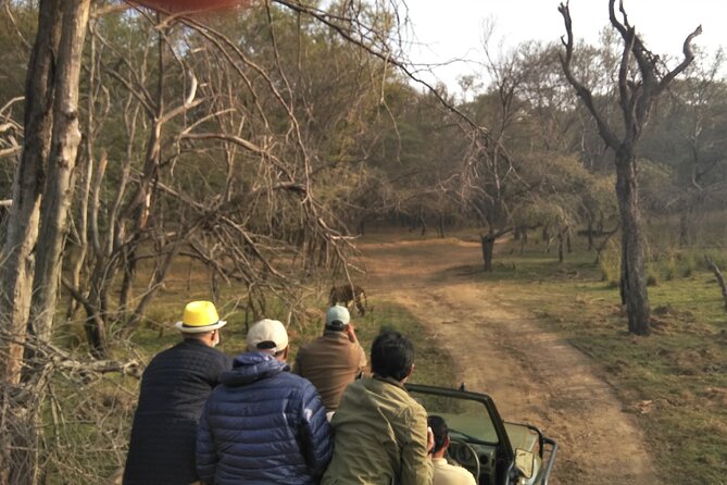 Ranthambore National Park - Who this safari suits best