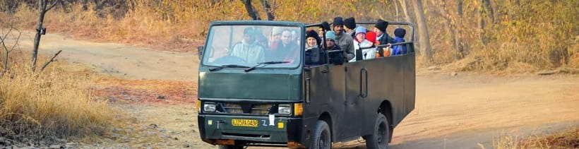 Ranthambore National Park: Safari Ticket with Pickup Option - Who Should Book This Canter Safari (and Who Should Skip It)