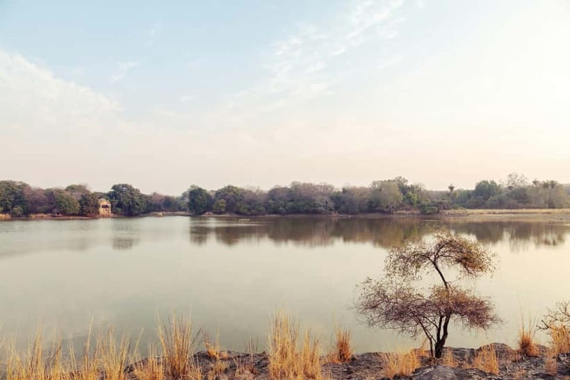 Ranthambore National Park: Safari Ticket with Pickup Option - Price and Value Check: Is $27 a Smart Deal?