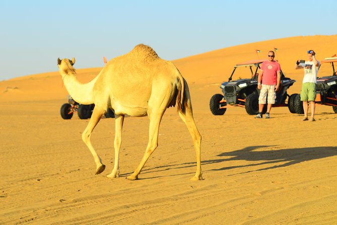 Ras Al Khaimah: Afternoon Desert Safari and BBQ Dinner - Shisha corner: fun if you treat it as optional flavor, not a bar stop