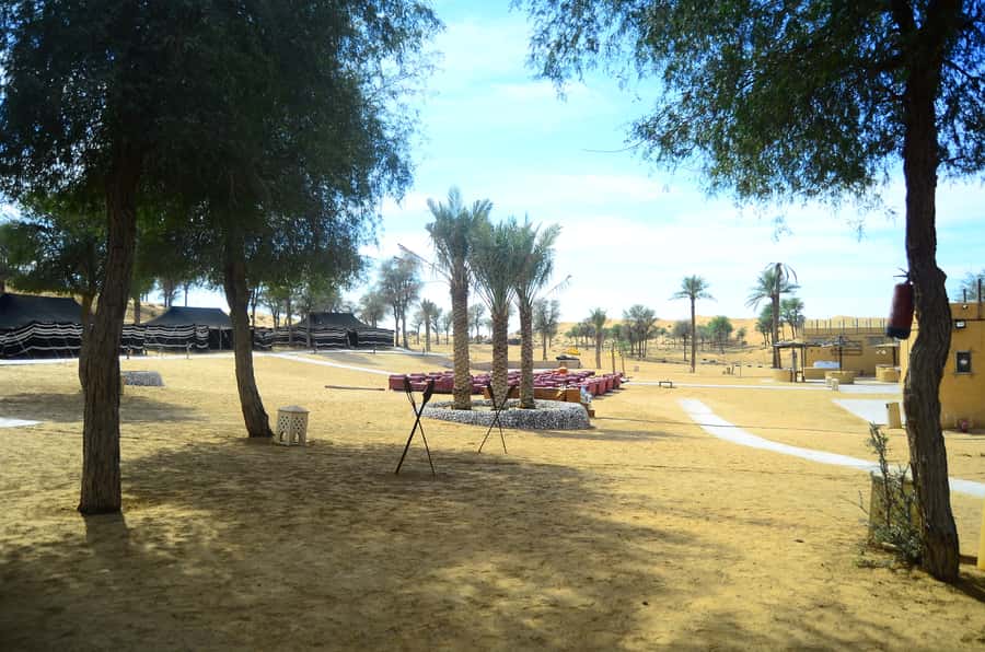 Ras Al Khaimah: Afternoon Desert Safari and BBQ Dinner - Who should book this, and who should skip it
