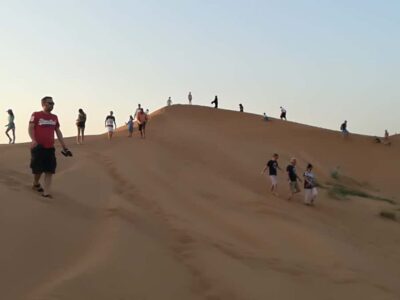 Ras Al Khaimah: Half-Day Desert Safari with Dinner - Dune Bashing with 4WD: Real Thrills, Driver Differences, and Photo Stops