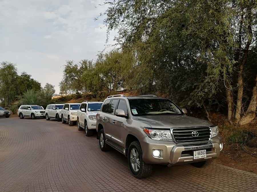 Ras Al Khaimah: Half-Day Desert Safari with Dinner - Camp Time Breakdown: Camel Ride, Sand Boarding, and Henna on Hands or Feet