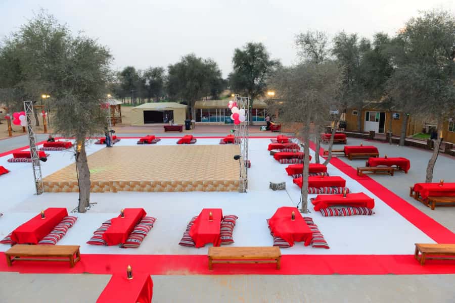 Ras Al Khaimah: Half-Day Desert Safari with Dinner - Who Should Book This and Who Should Skip It