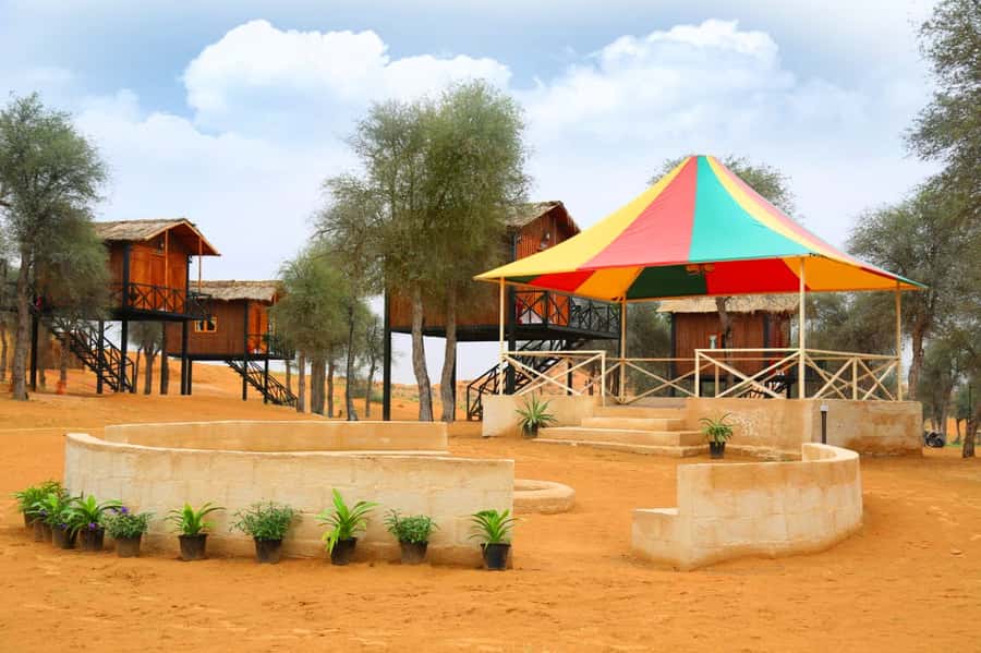 Ras Al Khaimah: Half-Day Desert Safari with Dinner - Practical Tips That Make This Desert Safari More Comfortable