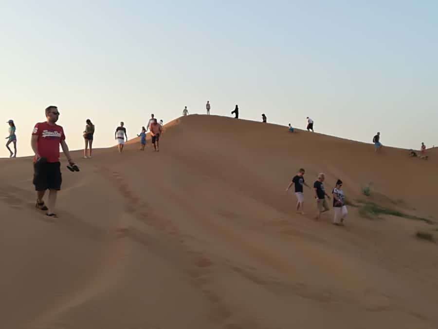 Ras Al Khaimah: Half-Day Desert Safari with Dinner - Dune Bashing with 4WD: Real Thrills, Driver Differences, and Photo Stops