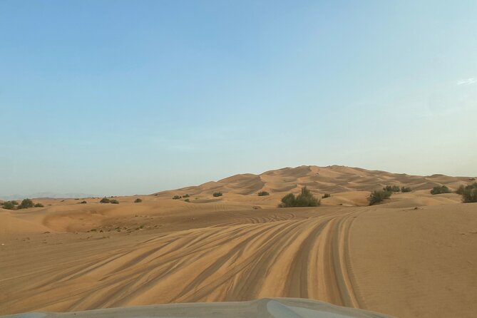 Red Dune 4x4 Desert Safari with Sand Boarding & Camel (4 hr) - Mid-Tour Sandboarding + Photo Stop: Your Action Break