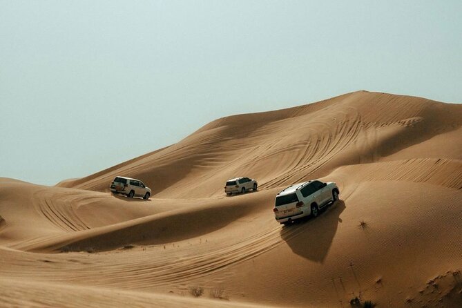 Red Dune Desert Safari Tour with Camel Ride & BBQ Experience - Falcon Oasis Start: A Short Desert Drive With Big Energy