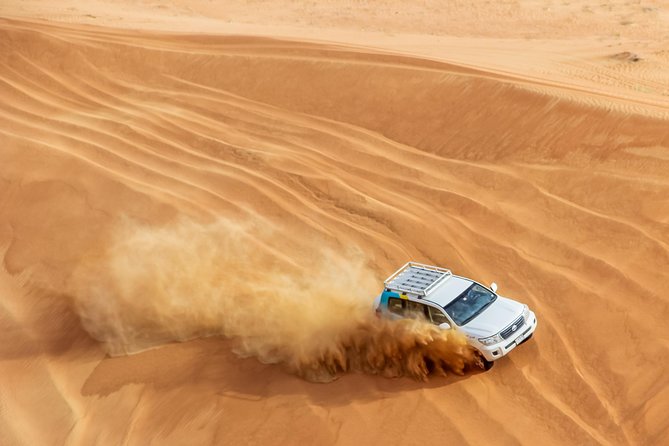 Red Dune Desert Safari with BBQ - Sandboarding and the Falconer Moment You’ll Remember