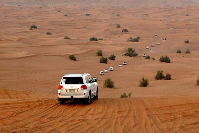 Red Dune Evening Desert Safari with Sandbashing and BBQ Dinner - Should You Book This Red Dune Evening Safari for $55?