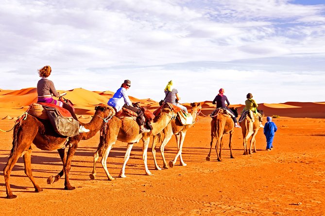 Red Dunes Desert Safari, Sand Board, Camel Ride with BBQ Dinner - How the 2:30 pm pickup turns into a dune-bash sunset