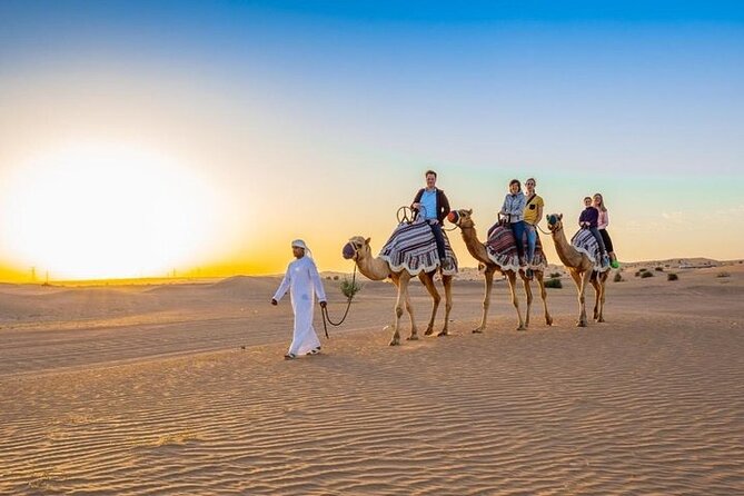 Red Dunes Desert Safari with 4x4 Pick up & Drop, Camel ride, BBQ and Live shows - Who should book this safari, and who should rethink it
