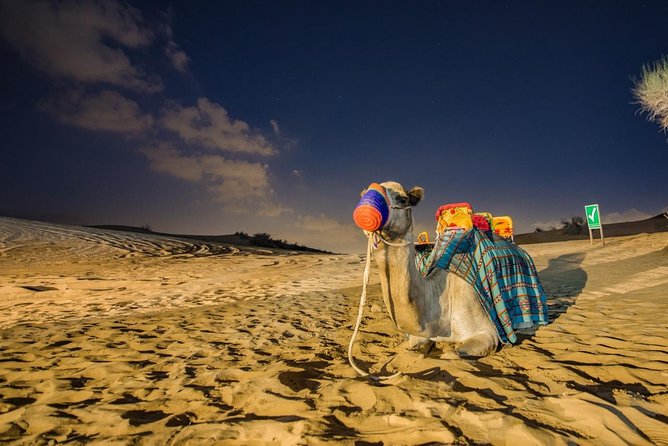 Red Dunes Desert Safari with BBQ Dinner - Key points to know before you go