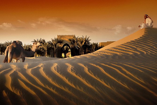 Red Dunes Safari By Quad Bike, Sandboarding, Camel Ride & BBQ Dinner - Henna, Belly Dancing, Tanura, and Fire Show Under Torchlight