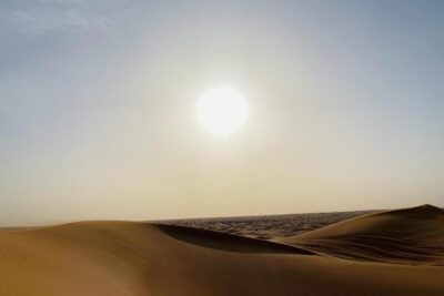 Red Dunes Safari By Quad Bike, Sandboarding, Camel Ride & BBQ Dinner - Sandboarding and Camel Ride: Switching from Fast to Slow
