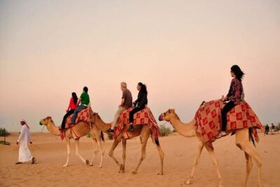 Red Dunes Safari with BBQ dinner, Falcon and Camel Ride - 4x4 dune bashing: the main event, and what it feels like