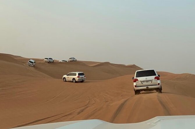 Red Sand Tourism desert safari with premium camp - Camel ride and sandboarding: doing the desert, not just viewing it