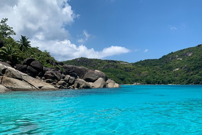 Reef Safari - Snorkeling, Fish Feeding & Lunch (Shared Day Trip) - Quick reasons Reef Safari works well