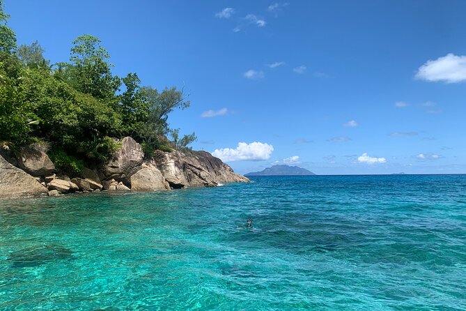 Reef Safari - Snorkeling, Fish Feeding & Lunch (Shared Day Trip) - From Victoria to the water: pickup that can affect your start time