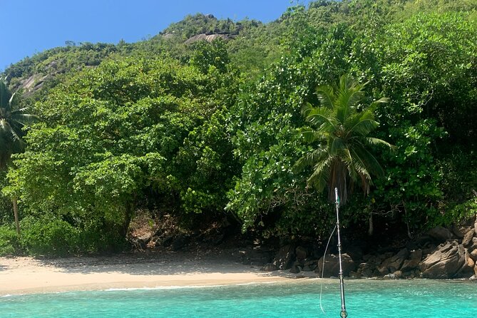 Reef Safari - Snorkeling, Fish Feeding & Lunch (Shared Day Trip) - Moyenne Island: giant tortoises and ocean-view walking