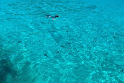 Reef Safari - Snorkeling, Fish Feeding & Lunch (Shared Day Trip) - Eden Island stop: a quick coastal warm-up