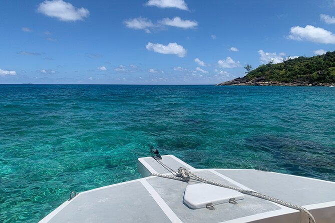 Reef Safari - Snorkeling, Fish Feeding & Lunch (Shared Day Trip) - Price and value: does $153.66 feel fair?