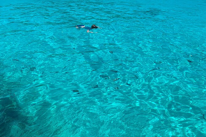Reef Safari - Snorkeling, Fish Feeding & Lunch (Shared Day Trip) - Eden Island stop: a quick coastal warm-up