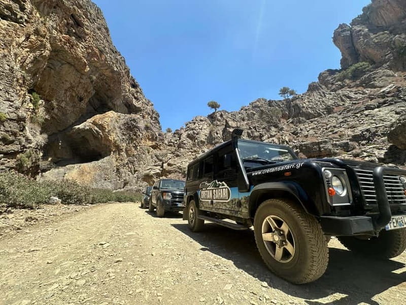 Rethymno: Full-Day Land Rover Safari to Preveli - Preveli Beach Swim: Palms, a River, and Real Time in Sand