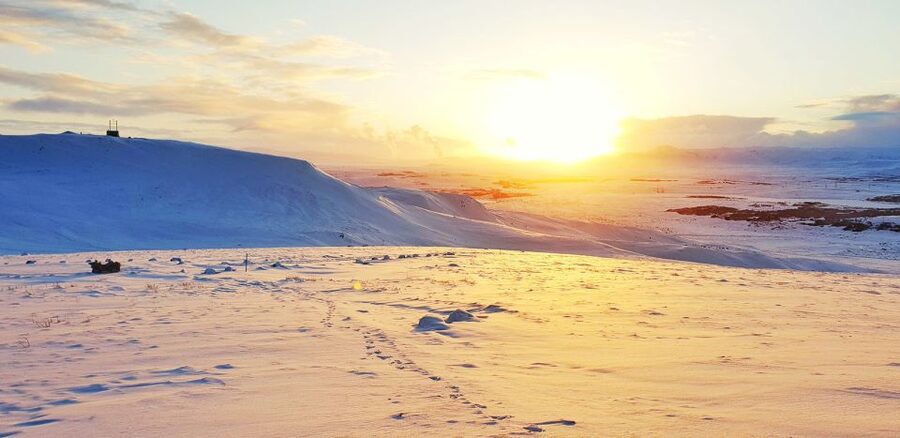 Reykjavik: Buggy Safari Tour with Hotel Transfers - From Your Hotel to Hafravatn: The Pace of the Day