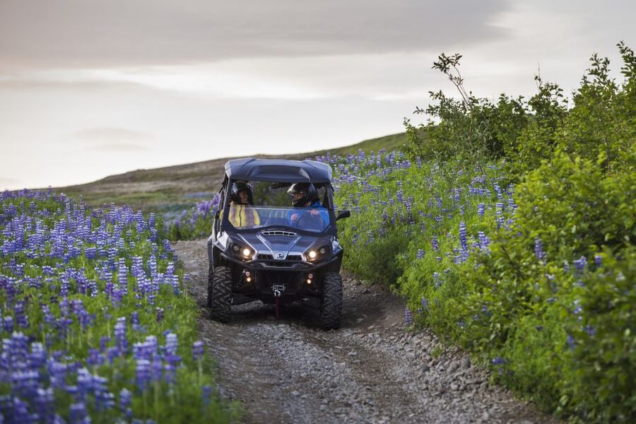 Reykjavik: Buggy Safari Tour with Hotel Transfers - Price and Value: Is $206 a Fair Deal?