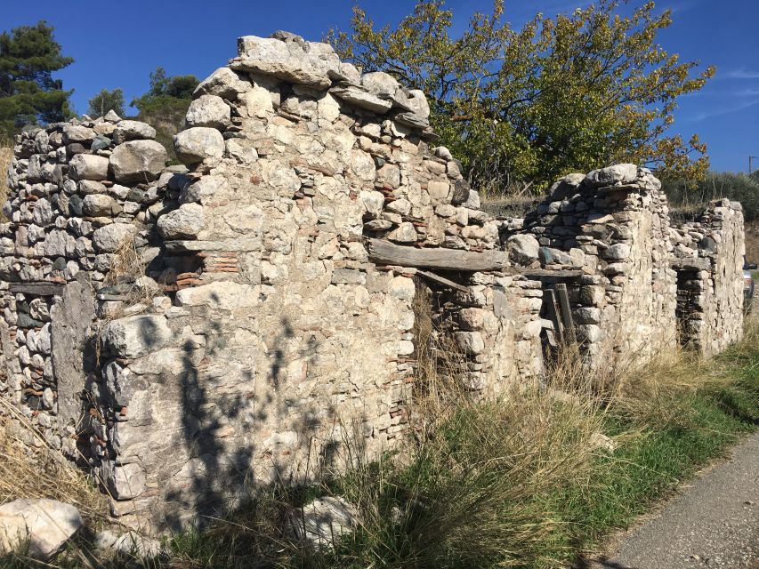 Rhodes: Full–Day 4WD Northern Safari Tour - “Stops Every 30 to 40 Minutes”: Why the Pace Works