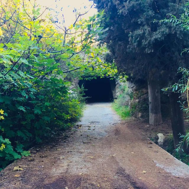 Rhodes: Full–Day 4WD Northern Safari Tour - The Wildlife and Little Surprises