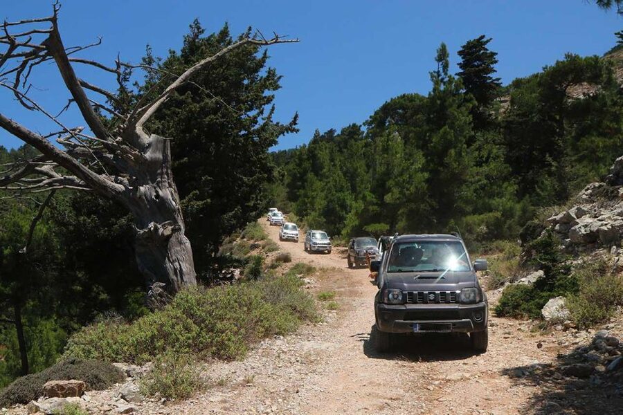 Rhodes: Self-Drive 4x4 Safari Tour with North Pickup - Safety Briefing: Short, Important, and Worth Paying Attention To