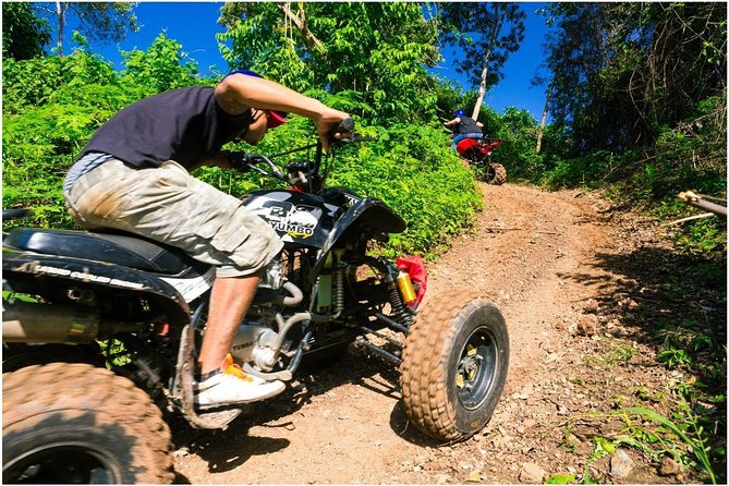 Roatán Shore Excursions: Sloth ATV/Buggy Thrill & Beach(1Beer/pp) - Key points to know before you go