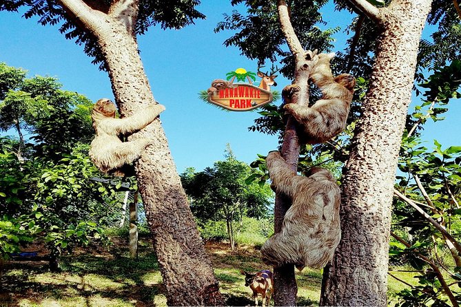 Roatán Shore Excursions: Wildlife + ATV/Buggy & Beach(1Beer/pp) - The flow of the day: jungle parks, off-road trails, then ocean time