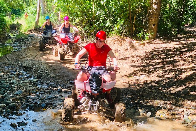 Roatán Shore Excursions: Wildlife + ATV/Buggy & Beach(1Beer/pp) - Who should book this, and who should pass