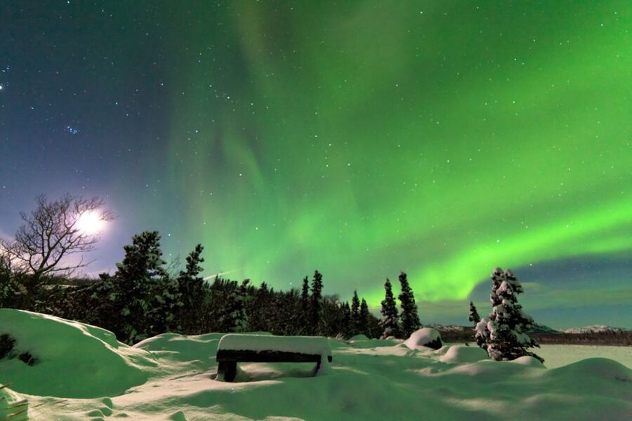 Rovaniemi: Aurora Borealis Snowmobile Safari with Campfire - Key Things I’d Plan Around